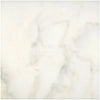 Creamy Calacatta Oliva Marble texture on 24X24 polished or honed tile surface