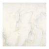 Calacatta Oliva 24X24 Polished or Honed Square Marble Tile for sophisticated interiors