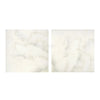 Two Calacatta Oliva Marble 24X24 Polished or Honed tiles with elegant marble patterns