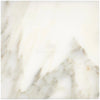 Calacatta Oliva Marble White Polished 24X24 Tile with Elegant Veining and Smooth Finish