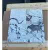 Four Calacatta Viola Imperiale marble 12x12 polished-honed tiles in grid