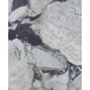 Calacatta viola imperiale marble 12x12 polished-honed tile with white base and swirling dark gray and black veining