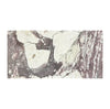 Calacatta Viola Imperiale marble slab with cream and dark gray veins, 12x24 polished-honed