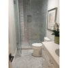 Modern bathroom featuring a glass shower and Carrara White Marble Double Toggle Wall Plate