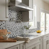 Stainless steel range hood with sleek modern design and carrara white penny-round mosaic marble tile backsplash