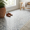 Circular carrara white penny-round mosaic marble tile polished in white and light gray marble tones