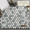 Carrara white penny-round mosaic marble tile with polished or honed finish featuring blue veining and gray white tones