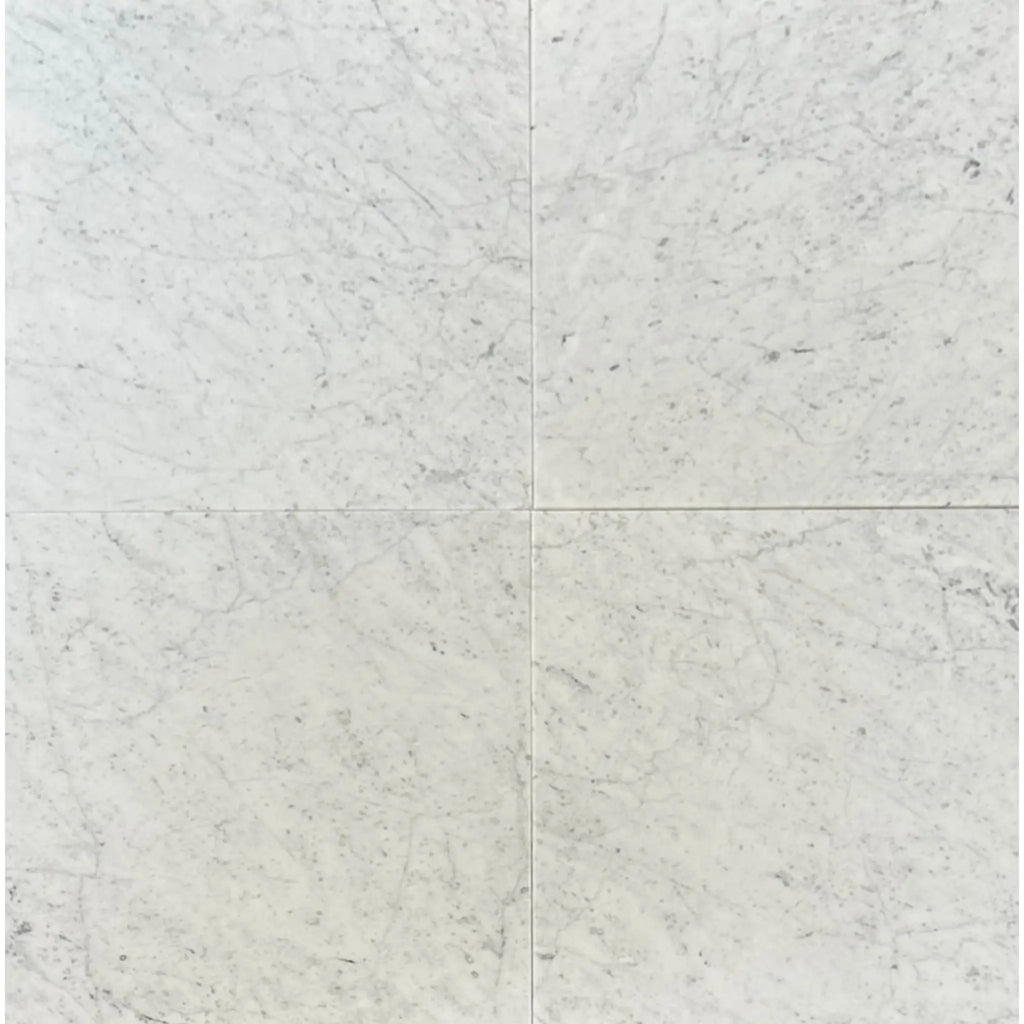Four white Carrara White Stanza Mosaic Marble Tiles with black accents, polished finish