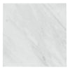 Square Marble Tile from Checkerboard Bardiglio Marble and Oriental White Marble Set