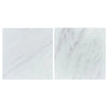 Two marble tiles from the Checkerboard Bardiglio and Oriental White Marble set