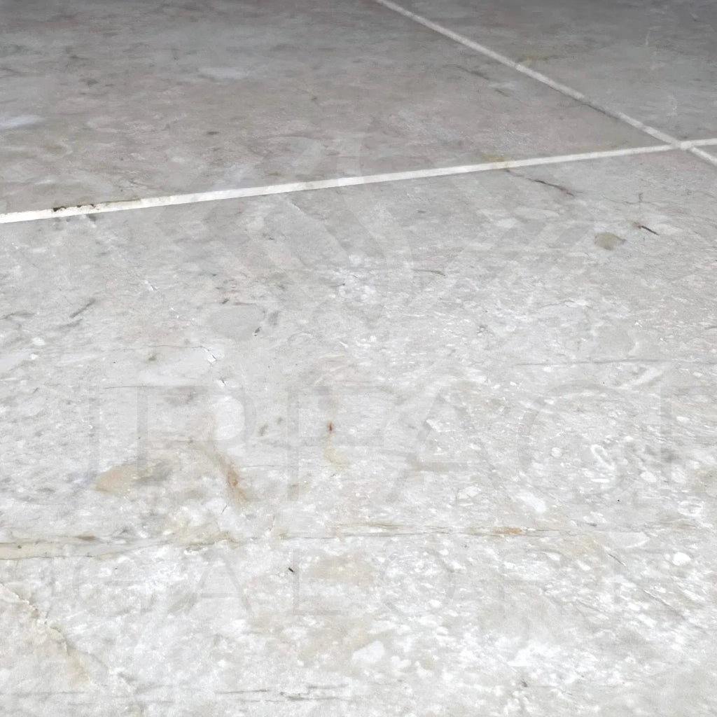 Gray tiled floor featuring Classic Beige White Marble 12X12 Polished Tile
