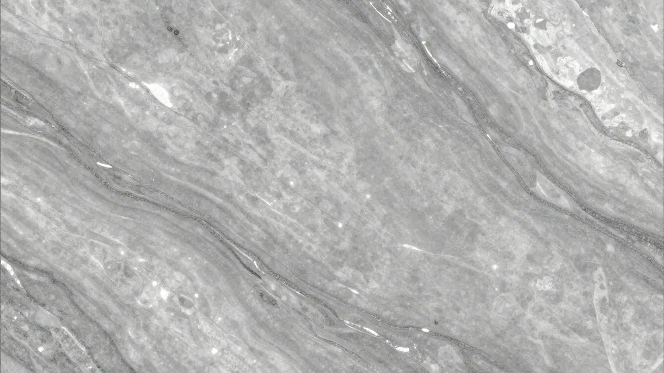 Silver travertine tiles with natural veining and metallic sheen.