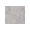 Light gray Greyhaven 24x24 honed limestone tile with subtle veining