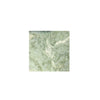 Ming Green 12X12 Marble Polished or Honed Square Marble Tile Display Image
