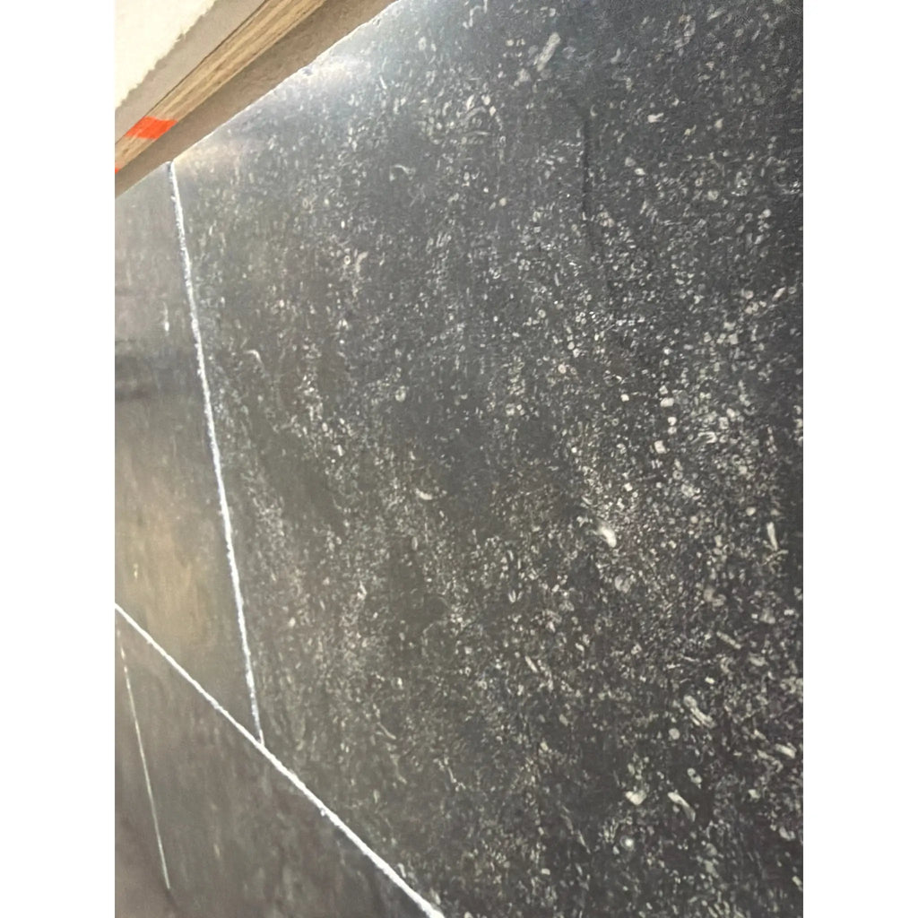 Polished Obsidian Ash 16x24 limestone tile with dark gray base and white speckles