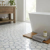 White hexagonal marble-effect floor tiles with gray grout featuring oriental white asian statuary polished finish