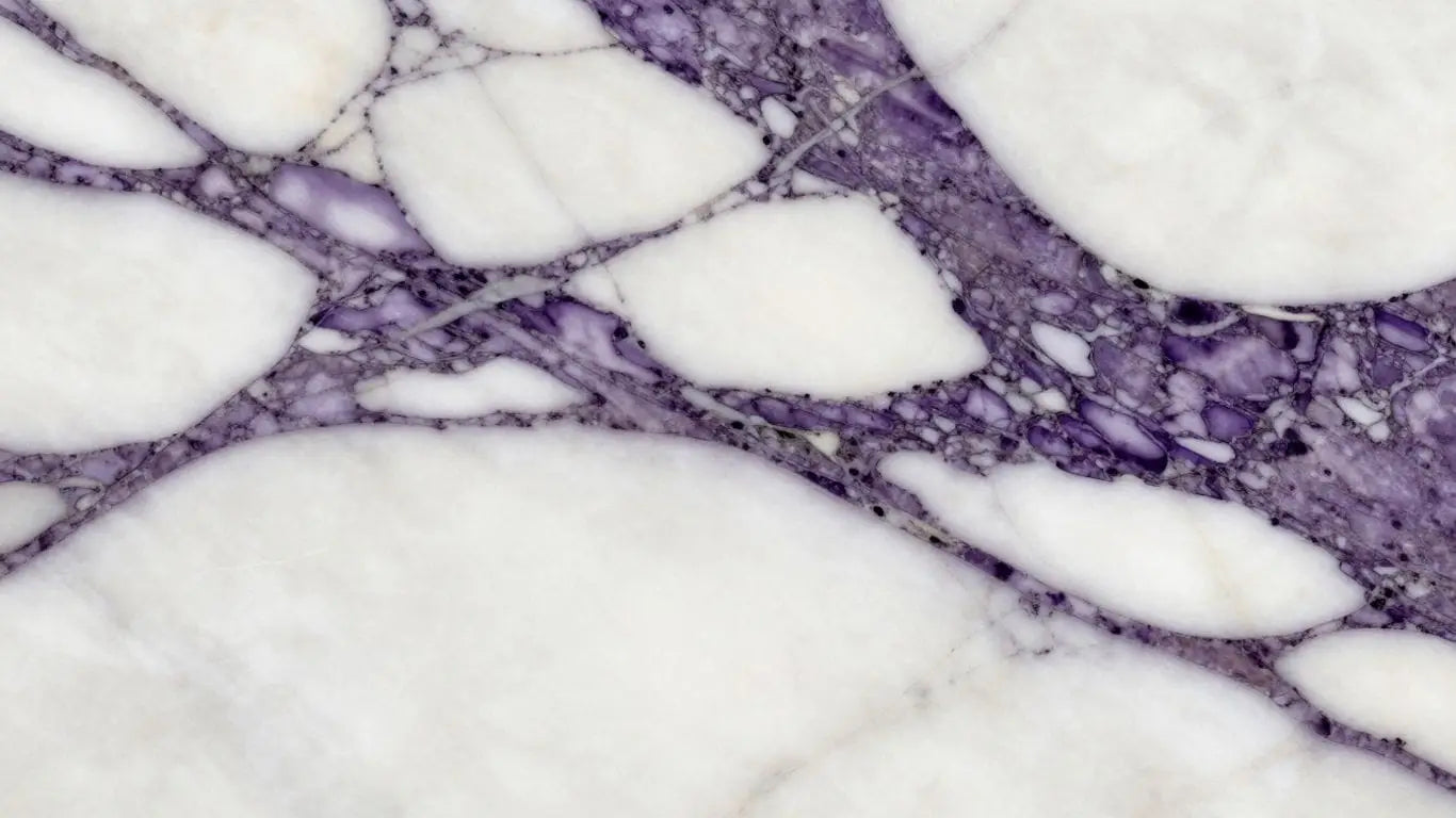 Calacatta Viola marble slab sketch