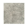 Seagrass 18x18 limestone tile with gray stone veining and subtle texture