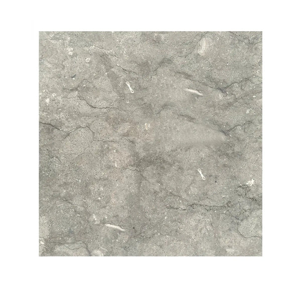 Seagrass 18x18 limestone tile with gray stone veining and subtle texture