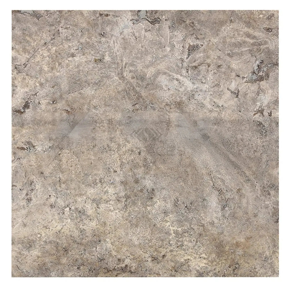 Square tile featuring a mottled gray-brown pattern, Silver Travertine 18X18 Tile