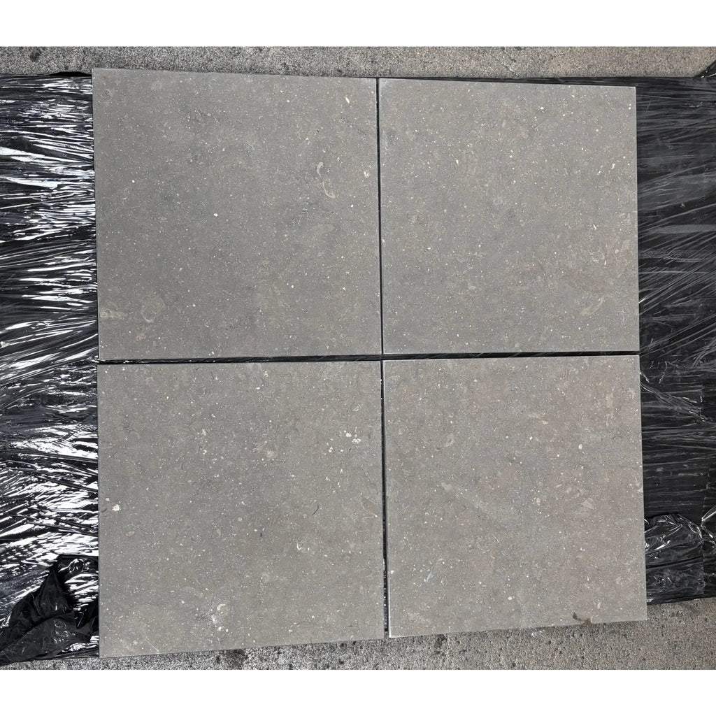 Silvermoor 12x24 honed limestone: 4 gray stone pavers with speckled texture