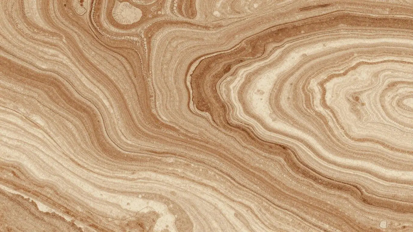 Noce Travertine stone surface with warm brown and cream tones.