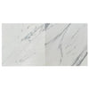 Two marble-patterned tiles of Statuary-Statuario White 4X12 Italian Marble