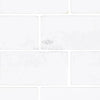 Thassos White 3X6 Marble Tumbled featuring a sleek white rectangular tile pattern