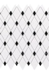 Thassos White Lattice (Thassos White + Black) Mosaic Marble Polished or Honed
