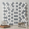 A modern Thassos white penny-round mosaic marble wall with polished Carrara white and blue-gray tiles in a circular pattern