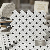 Thassos white stanza mosaic marble tiles with black herringbone pattern polished or honed finish