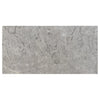 Tundra Gray 12X24 Marble Polished or Honed Gray Marble Tile Display Image