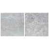 Two gray marble tiles from Tundra Gray 18X18 Marble Polished or Honed collection