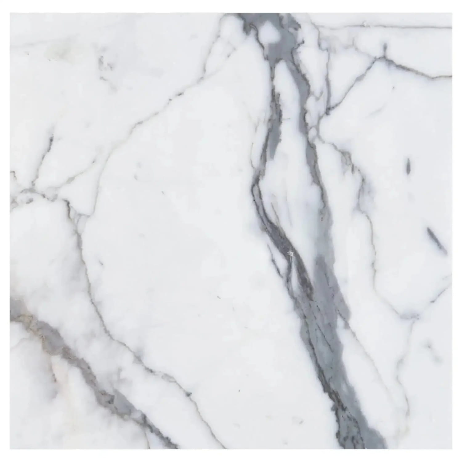 Arabescato Corchia 12X12 Marble Tile Polished or Honed