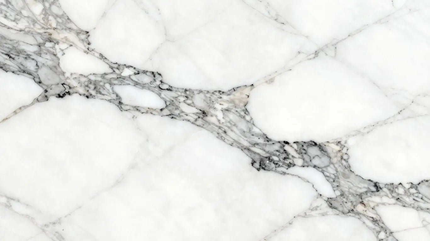 Sketch of luxurious Arabescato marble slab with grey veins.