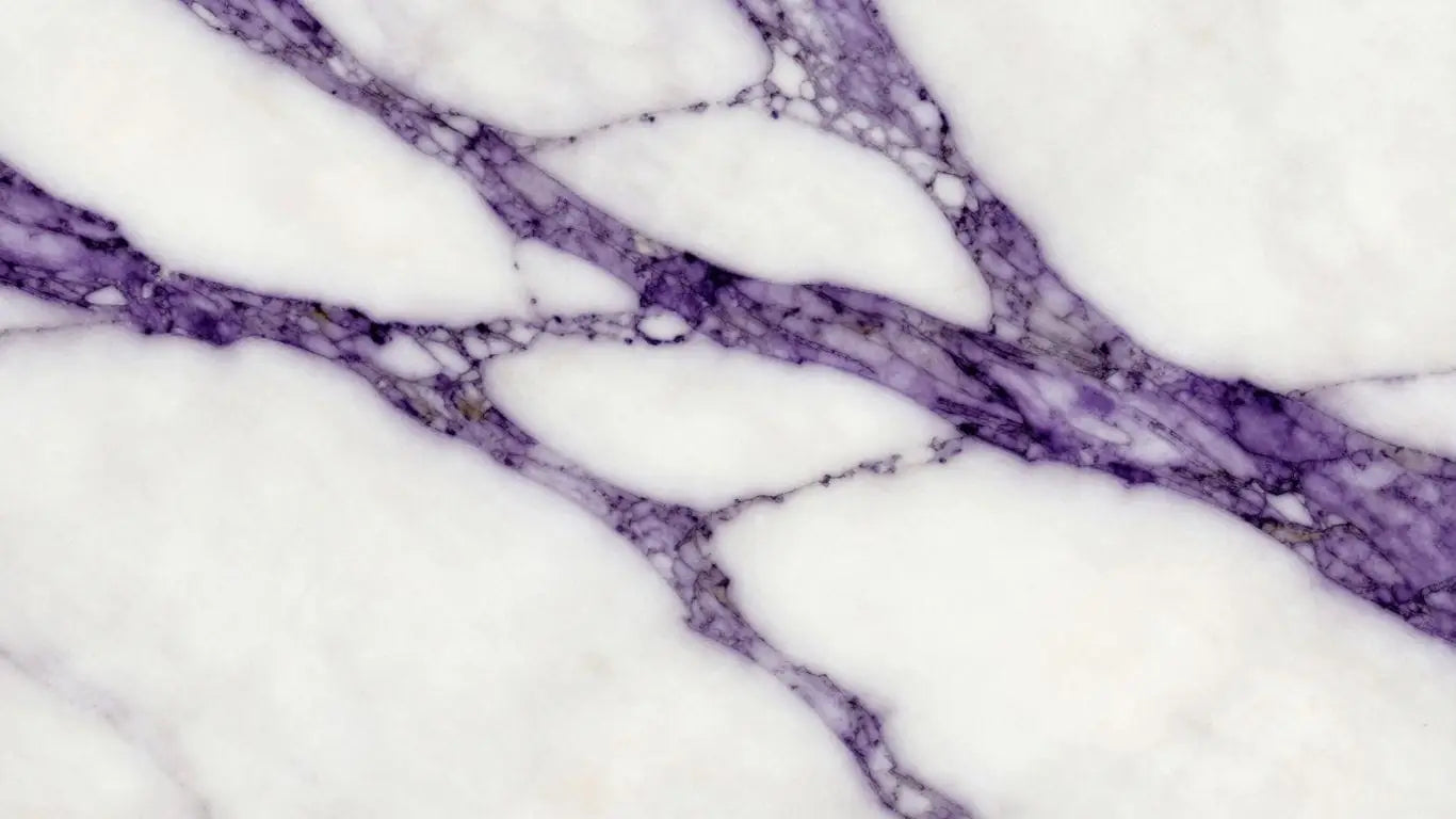Calacatta Viola marble slab sketch with purple veins.